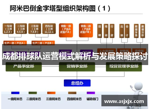 成都排球队运营模式解析与发展策略探讨